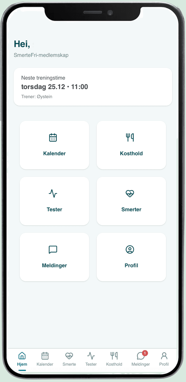 SmerteFri dashboard – oversikt for bruker og rehab-trener